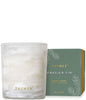 Frasier Fir Tidings Poured Candle, 6.5 oz