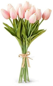13.5 Inch Real Touch Mini Tulip Bundle