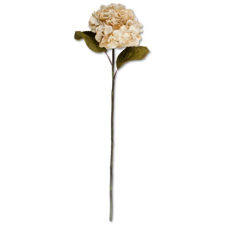 30 Inch Burnt Cream Hydrangea Two Leaf Stem
