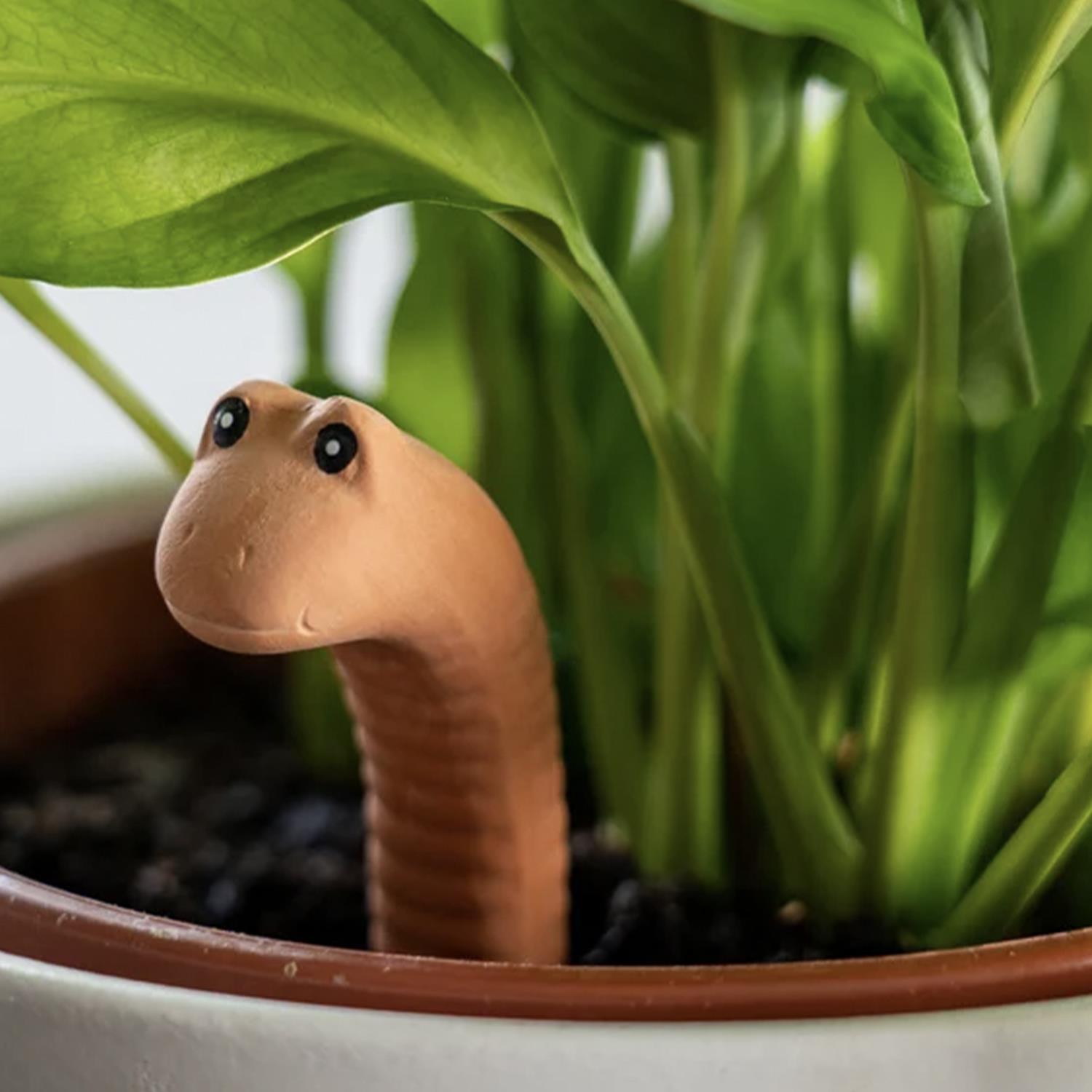 Water Worm Plant Water Sensor in Gift Box
