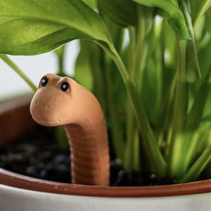 Water Worm Plant Water Sensor in Gift Box