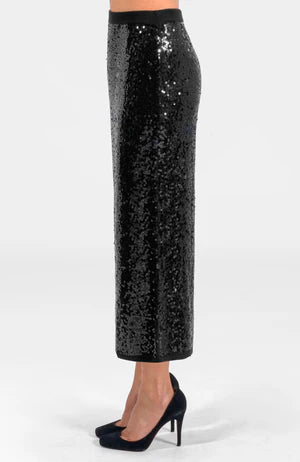 Twinkle Maxi Skirt