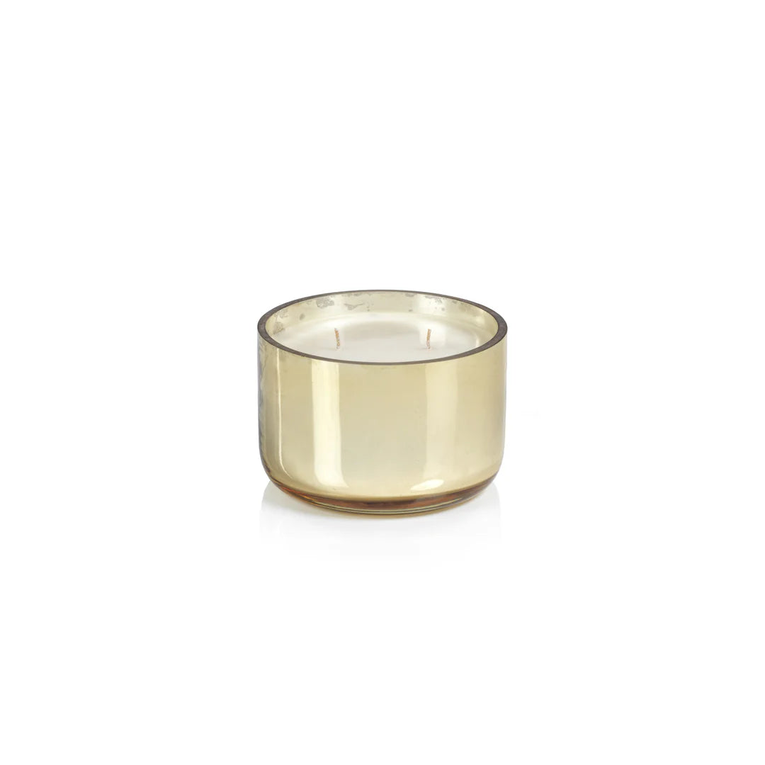 Siberian Fir Scented Candle Jar - 2 Wick Gold