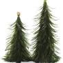 Feathered Tree (Pine)