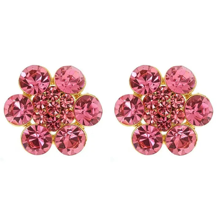 Fabulous Earrings - Pink