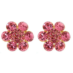 Fabulous Earrings - Pink