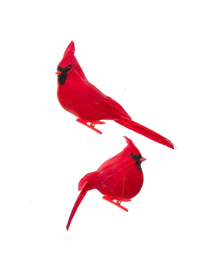 Velvet Clip On Cardinal