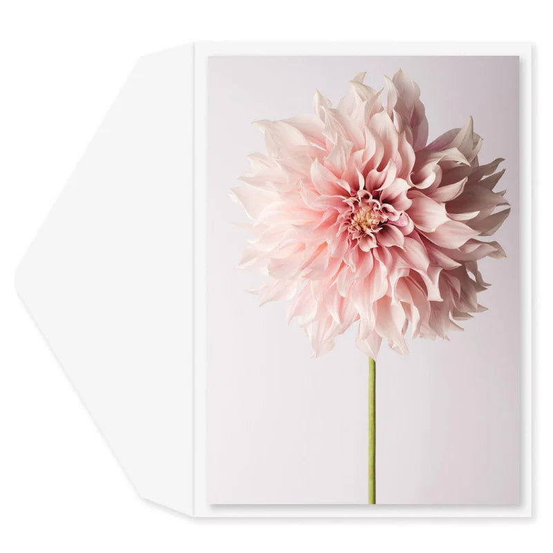 Pretty as a Flower Blank Card