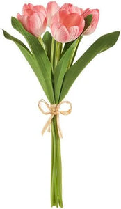 Pink Tulip Bundle