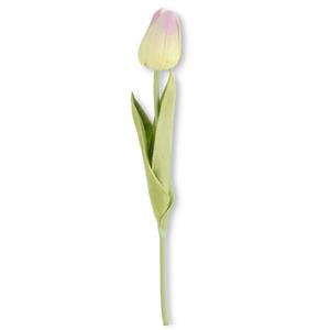Real Touch Tulip Stems